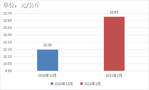 图片8