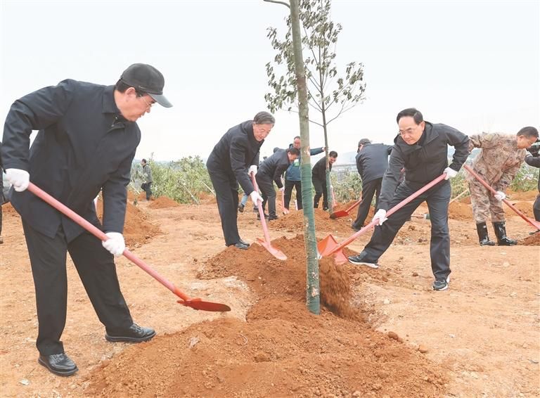 中兴西路轻轨停保场参加义务植树活动