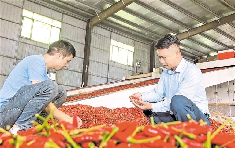 贵州徐源辣椒实业有限公司辣椒加工车间