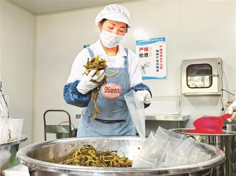 工人打包酸菜