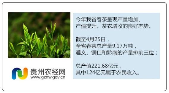 资讯服务产品_副本