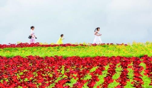 11_11_1245 (1)