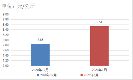 图片7