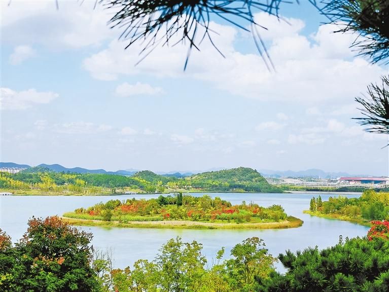 城市“绿肺”