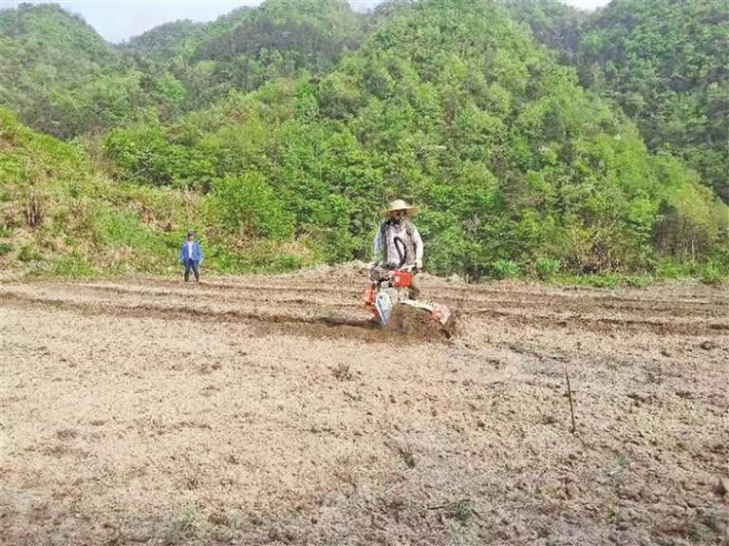 银杏村村民利用农机对土地进行翻犁 银杏村村民利用农机对土地进行翻犁