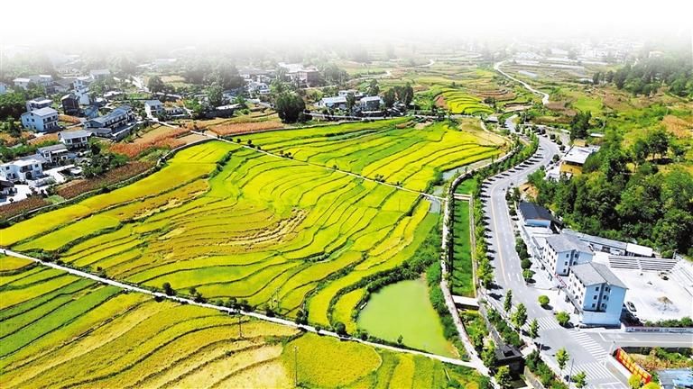 正安县农旅融合绘新景