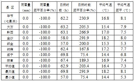 毕节表1